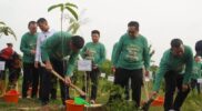 BP Tapera Dukung Penanaman Sejuta Pohon di Lampung