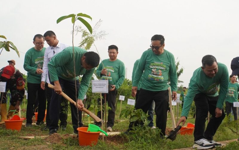 Sumber Foto: BP Tapera