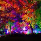 Sumber Foto: Tourism Western Australia