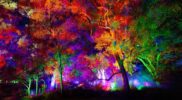 Mengintip Lightscape Perth 2026