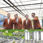 Sumber Foto: Sinar Mas Land