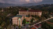 The Green Peak ARTOTEL Curated Hadirkan Pengalaman Menginap yang Berkesan