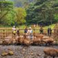 Sumber Foto: De Braga by ARTOTEL