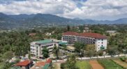 The Green Peak ARTOTEL Curated Ingin Tamu Menikmati Momen Menyenangkan
